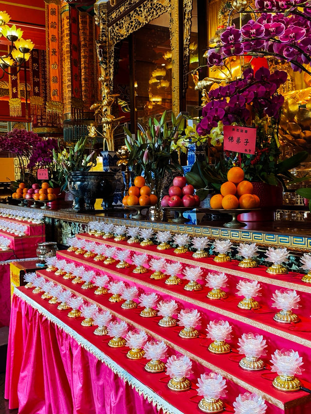 A Quiet Giant on Lantau Island