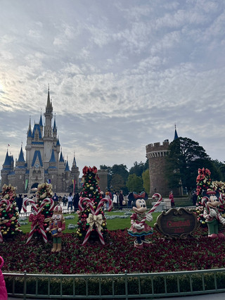 🎄 東京。東京迪士尼樂園的天主教聖誕節