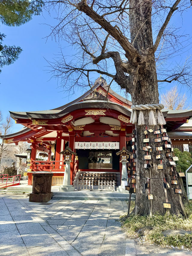 Experiencing Tokyo Beyond the Surface