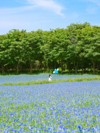 The Blue Sea on Land Unfolding Soon.