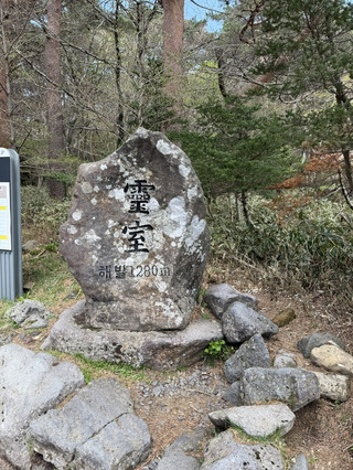 한라산 영실코스: 제주도 최고봉을 오르는 필수 체험