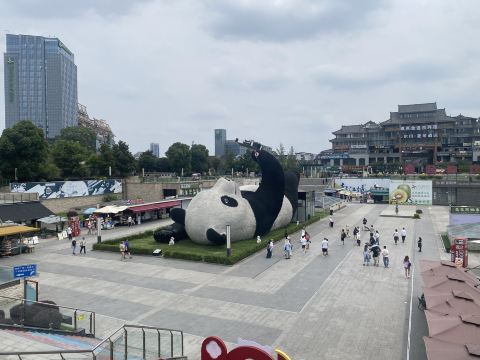 Dujiangyan Panda Base Tickets 2026: Panda Valley Tours & Prices
