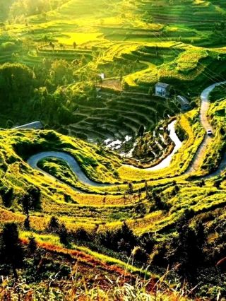 🌿 Ming'ao Village | A Misty Mountain Paradise in Zhejiang