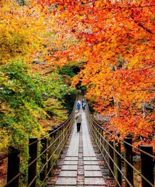 Experience the stunning autumn colors at Mt. Takao, just outside Tokyo.