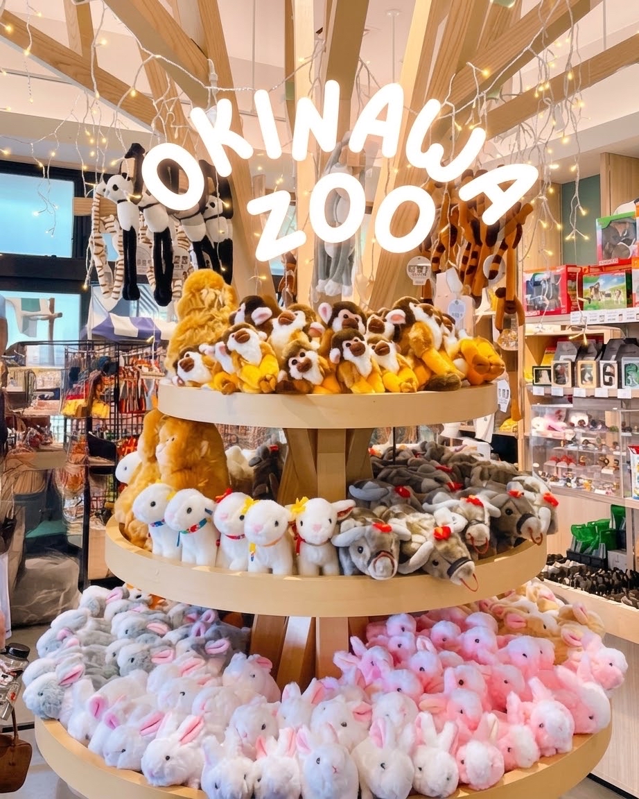 ของฝากจาก Okinawa Zoo มีอะไรบ้างนะ? 🐰✨