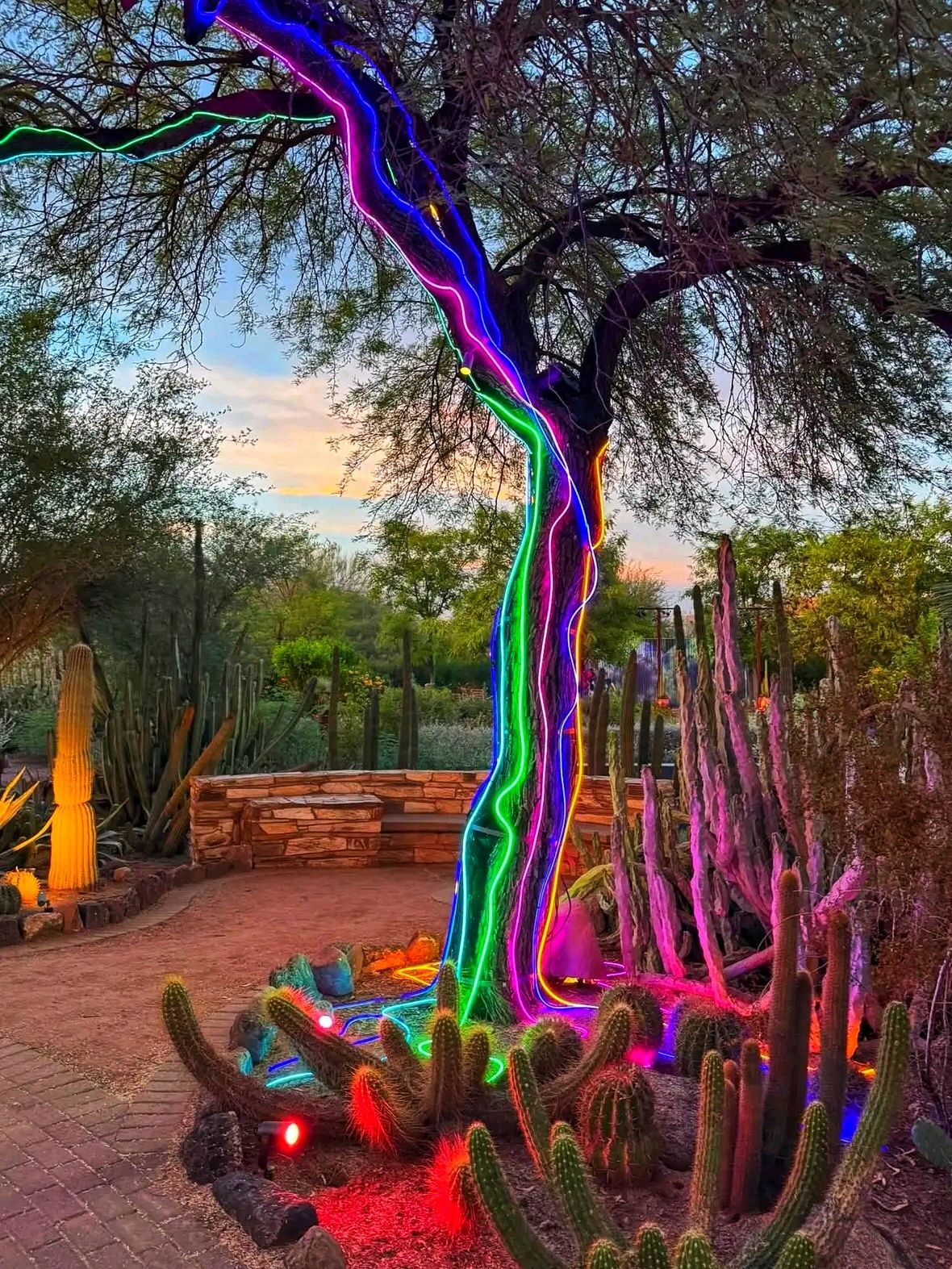 Discover the Desert's Hidden Beauty 🌵✨