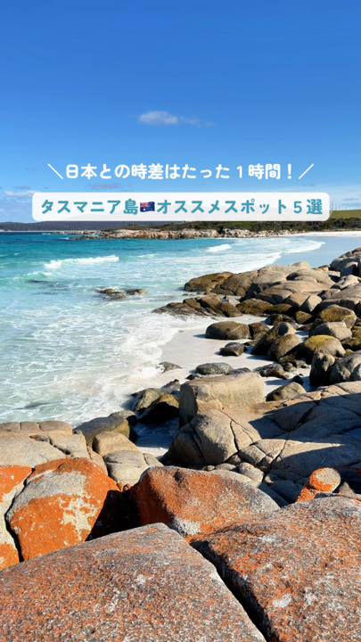 あの動物と触れ合えるレア体験も！タスマニア島🇦🇺オススメスポット5選
