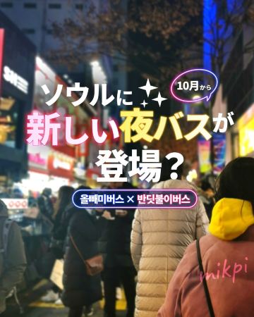 New "Firefly Bus" Coming to Seoul! How It Differs from the "Owl Bus."