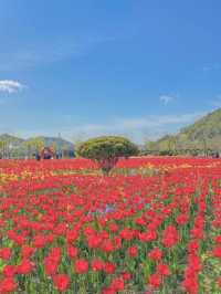 사랑의 고백, 양산 황산공원🌷