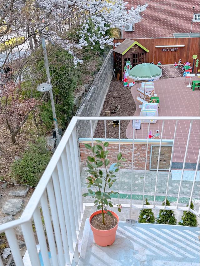 벚꽃뷰 카페 코츠카페