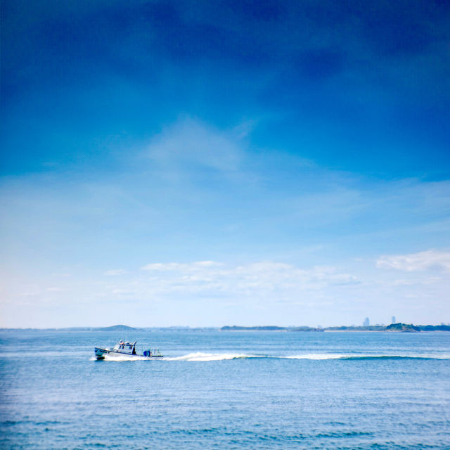The Fort Revere Park