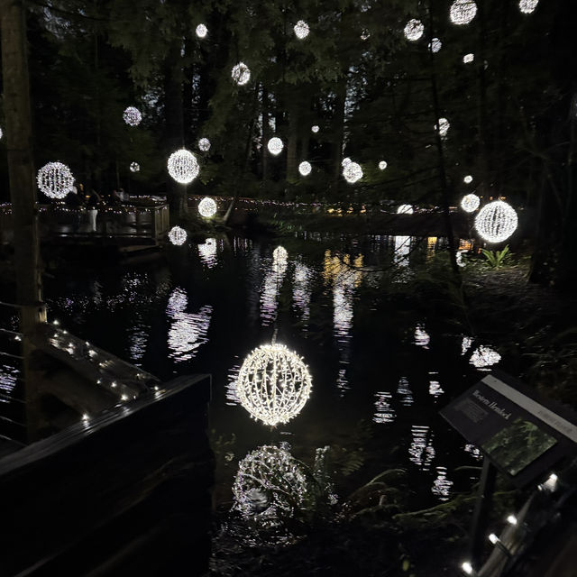 capilano suspension bridge 