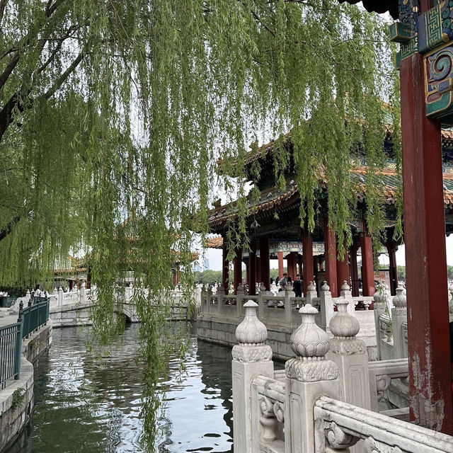 A nice place where to relax after the crowds in the Forbidden City. 