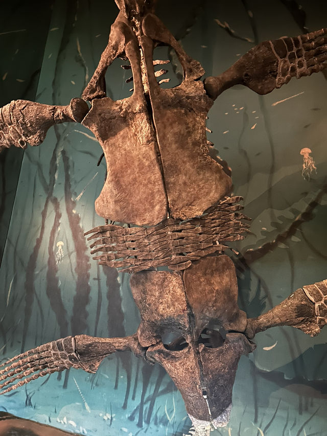 🦕恐竜の聖地！カナダ🇨🇦【ロイヤル・ティレル博物館】