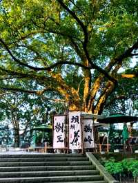 重慶鵝嶺公園