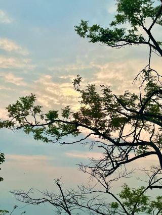Packing your bags and journeying afar is, in essence, a gentle reconciliation with yourself. Travel is a fleeting escape, letting us break free from the daily grind.