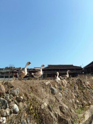 旅行是一場對時間的重新定義,當我們離開被鐘錶切割的生活,走進沒有明確時間表的日子,會發現時間原來可以有另一種流動方式。不再趕著赴約,不再盯著手機上的倒數,不再為「來不及」而焦慮,我們終於可以跟著自己的節奏走:想睡到自然醒就睡,想走多久就走多久,想在一個地方停留就停留。那些曾經被認為「浪費」的時間,原來藏著最珍貴的體驗:在陽台上發呆的一小時,比趕三個景點更讓人放鬆;和陌生人聊天的半個下午,比看十場表演更讓人充實。旅行讓我們明白,時間的價值不在於做了多少事,而在於是否用心感受了當下。我們學會放下對「效率」的執念,接受「慢」也是一種前進;學會放下對「結果」的焦慮,享受「過程」的美好。當我們帶著這份對時間的理解回到日常,會更懂得如何安排自己的生活:不再被日程表綁架,而是為自己留出「無用」的時間;不再為錯過什麼而遺憾,而是專注於正在經歷的瞬間。旅行從不是為了逃避時間,而是為了學會與時間和解;不是為了延長生命的長度,而是為了拓展生命的寬度,讓每一個當下,都變得豐盈而有意義。
#新年好去處2026#travel2026