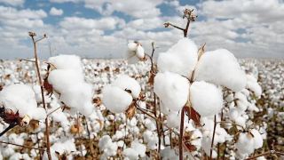 Beautiful Scenery: The Sweetness Life Offers