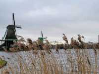 Windmill De Zoeker - Zaandam, The Netherlands