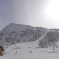Ski with snowmonster in Zao, Japan