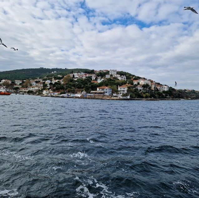 🏝️🌊🚤 Exploring the Princes Islands: Istanbul's Hidden Gems! 🌞🏰


