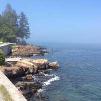 Hidden Gem in Coastal Maine