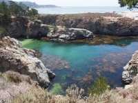 Hidden Gem Adventure in Carmel-by-the-Sea