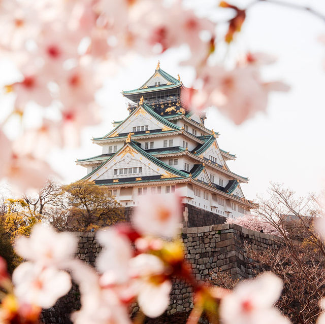 Sakura Spectacle: Tokyo's Blossom Ballet!🌸