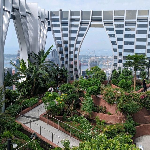 Free view of Singapore