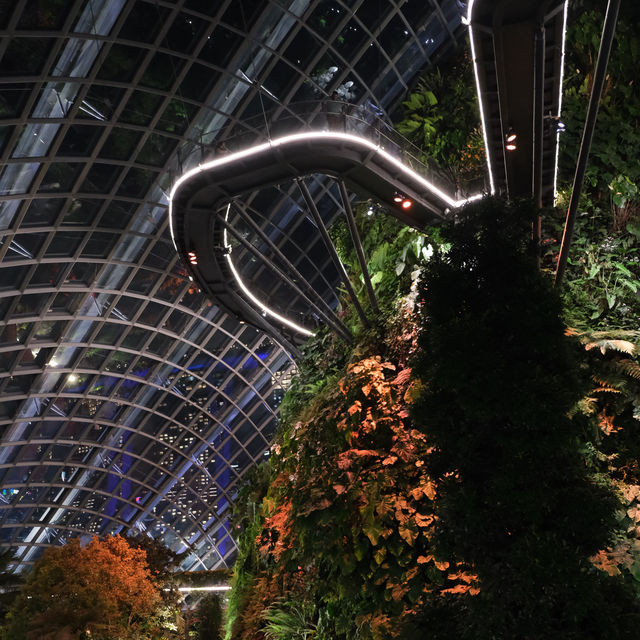 Singing in Singapore