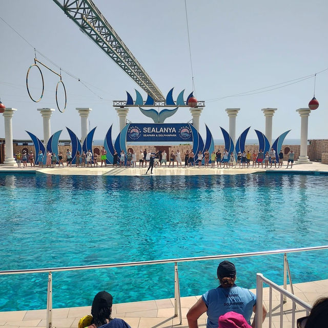 Sealanya Dolphinpark Seapark 🗺️