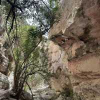 Avakas Gorge Nature Trail 🗺️
