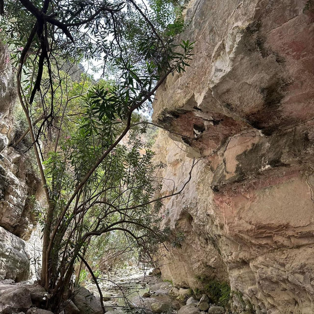 Avakas Gorge Nature Trail 🗺️