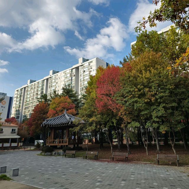 국내여행 대전 둔산동에 위치한 작고 예쁜 공원인 씨애틀공원