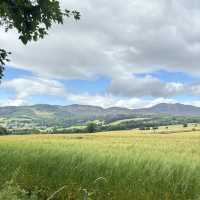 Scotland’s natural beauty 🏴󠁧󠁢󠁳󠁣󠁴󠁿🌳🐮