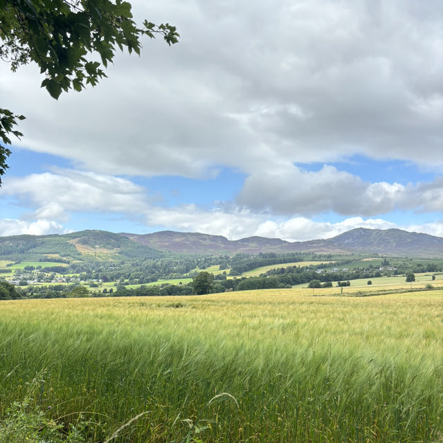 Scotland’s natural beauty 🏴󠁧󠁢󠁳󠁣󠁴󠁿🌳🐮