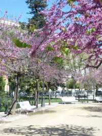 Cadiz: A Glimpse into Spain’s Historic Heart