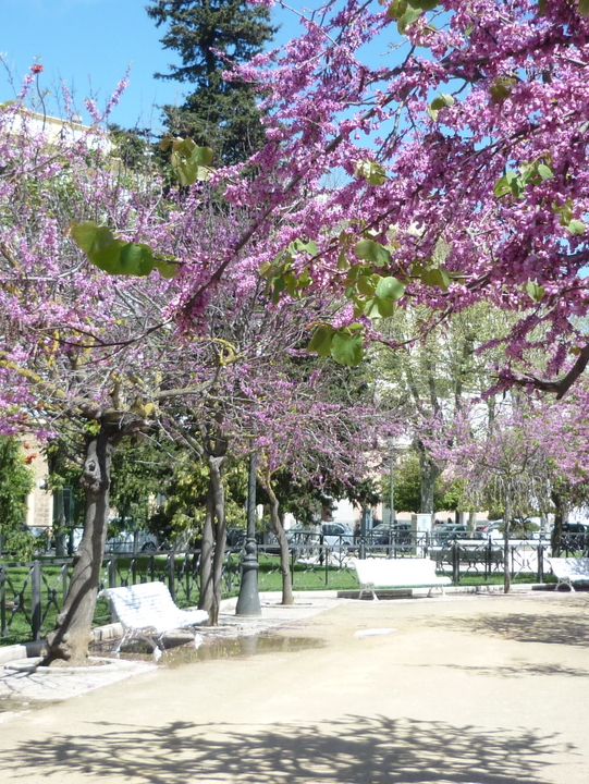Cadiz: A Glimpse into Spain’s Historic Heart