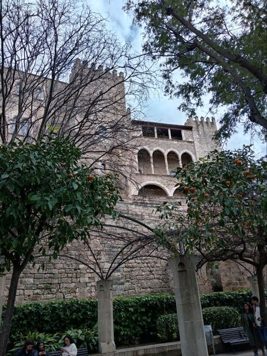 A trip to palma