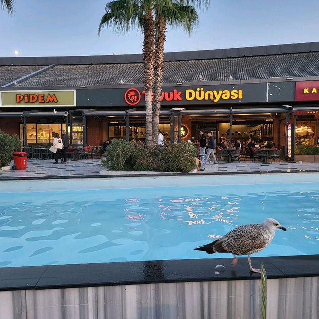 you must visit Viaport Marina outlet mall 🥰🥰🛥⚓️ in Istanbul Turkey 🇹🇷🇹🇷