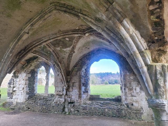Great Ruins in Waverley Abbey