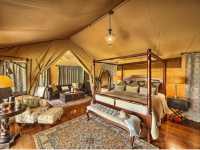 Kenya memorable safari 