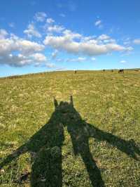 Seven Sisters Cliffs: England’s Coastal It-Girl