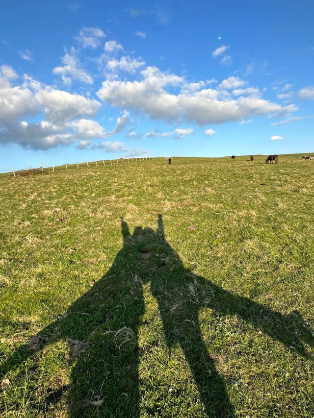 Seven Sisters Cliffs: England’s Coastal It-Girl