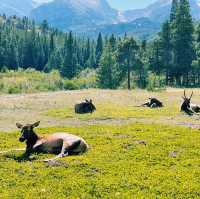 🏔️ Top Landmarks in Rocky Mountain National Park – Nature’s Masterpieces