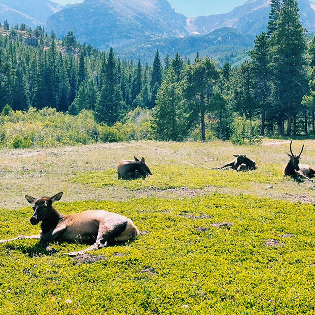 🏔️ Top Landmarks in Rocky Mountain National Park – Nature’s Masterpieces
