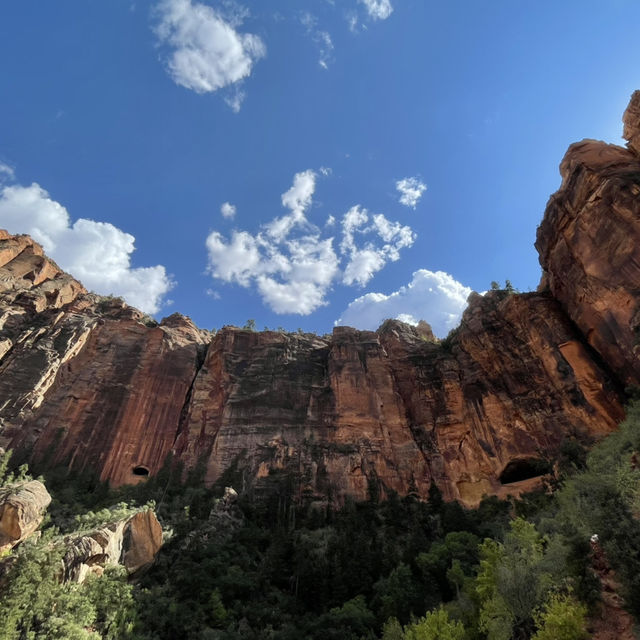 🏞️ Zion National Park: Nature’s Red Rock Playground