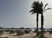 🏖️ Sheraton Soma Bay: Red Sea Serenity with a Pharaonic Touch ✨