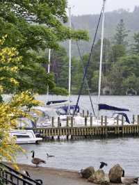 湖區雨中漫遊：Bowness-on-Windermere 小鎮半日遊