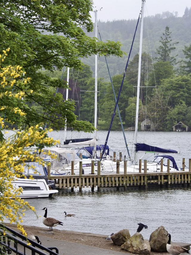 湖區雨中漫遊：Bowness-on-Windermere 小鎮半日遊